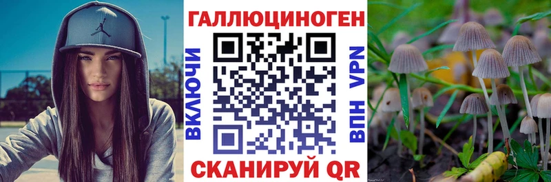 Галлюциногенные грибы Psilocybine cubensis Тихорецк
