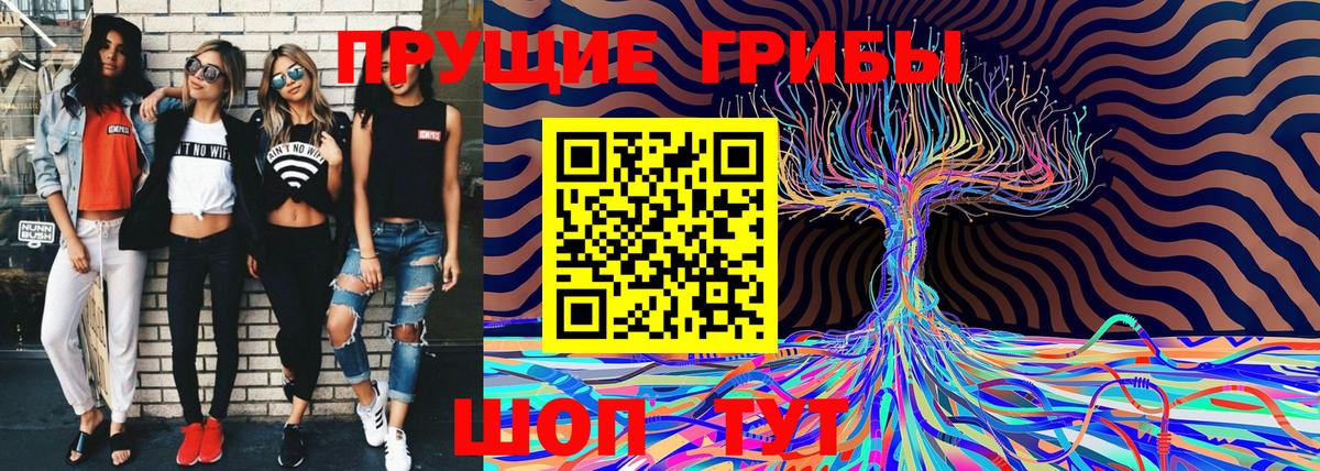 Псилоцибиновые грибы Psilocybe Тихорецк