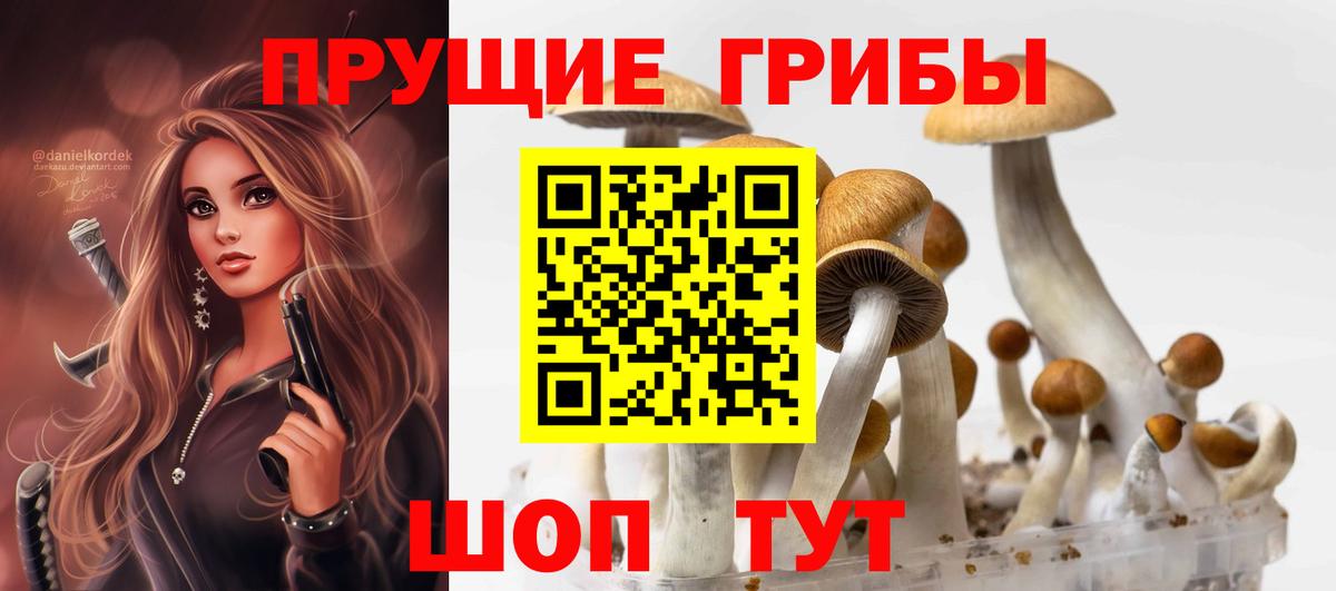 Галлюциногенные грибы Psilocybine cubensis  Вход с VPN  Тихорецк  Псилоцибиновые грибы ЛСД 